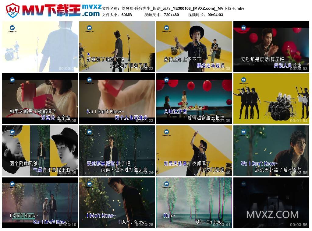 刘凤瑶-感官先生_国语_流行_YE300108